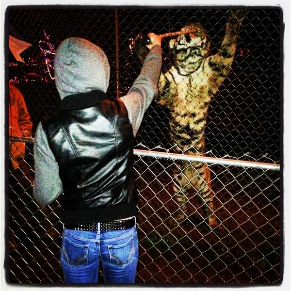 rachelkay611's tweet image. The zoo Kepler asked @Robbins498 for a dip, and let both of us feed the tigers for free! #zootastic