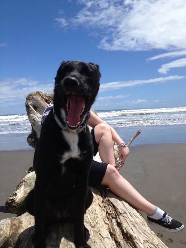 Angela Martin tweet media