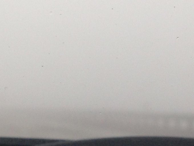 I LOVE testing my driving skills. Can't see shit, don't care. http://t.co/Ez2OTNi7<a href="/tag/hawaii"class="tags"><span>#hawaii</span></a><a href="/tag/waterfall"class="tags"><span>#waterfall</span></a><a href="/tag/kaui"class="tags"><span>#kaui</span></a>