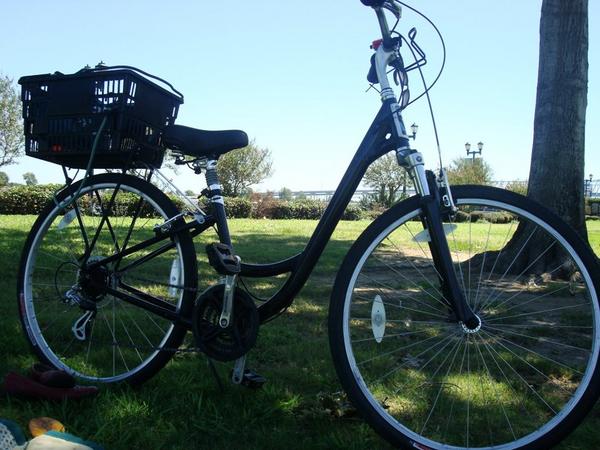 STOLEN: Black Specialized Globe. Red bike bell on front. Stickers: Vagina Mafia, Erin Rose. Please call/tweet me!!