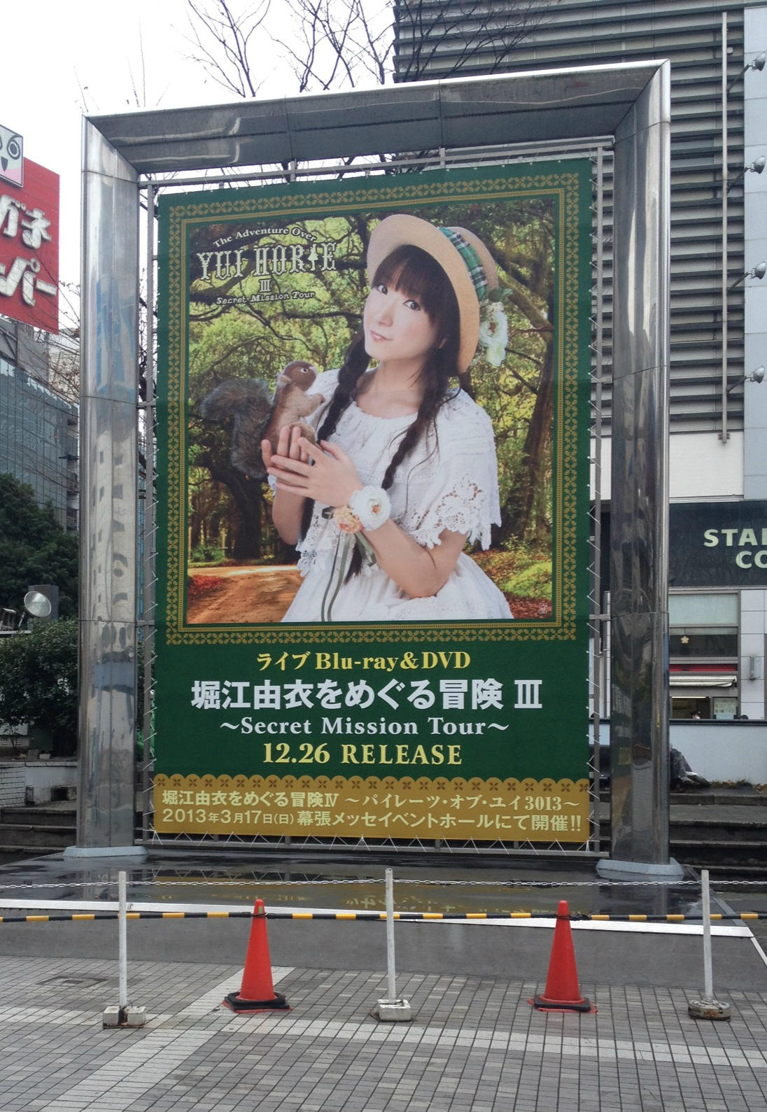 DVD/堀江由衣/堀江由衣をめぐる冒険 IV パイレーツ・オブ・ユイ 3013