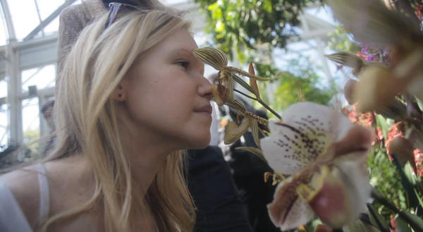 designboom tweet media