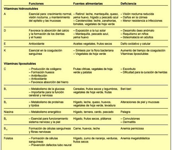 Vitaminas, función que cumplen en nuestro organismo y sus fuentes alimenticias: