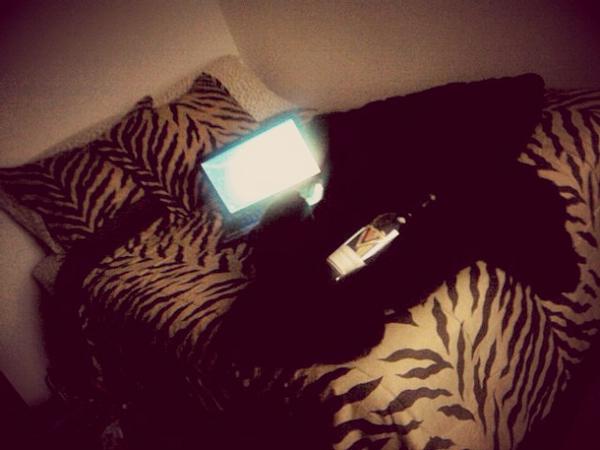 Vy_Ness27's tweet image. *Mi sexy chettahliciousss/zebraaaliciousss/ Ro0om #minkfur #throwcover #wine #bed #love