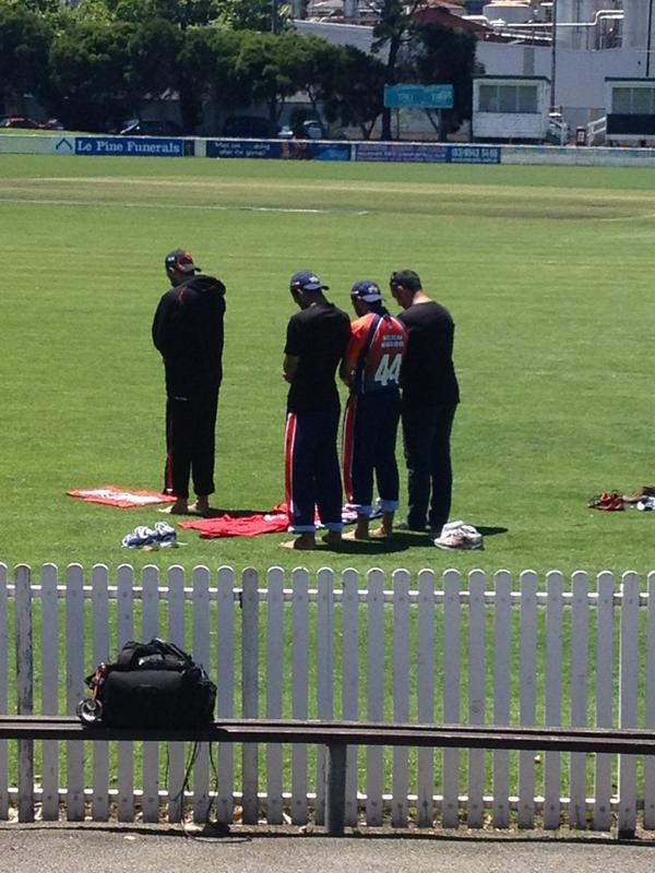 Harmony in Cricket tweet media