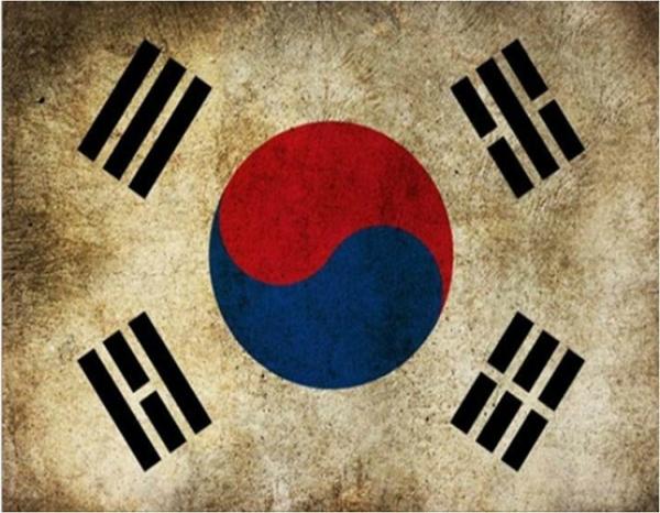 12월 19일, 대한민국을 사랑하는 국민들이 좌빨좀비들을 싸그리 청소하는 날입니다 기호1번 박근혜, 그녀가 대한민국의 안보와 우리삶을 행복하게 영위할 수 있게 합니다 대한민국을 수호합시다!
