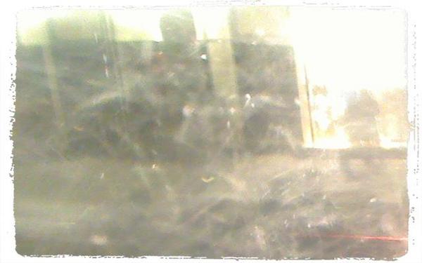 The Snow Machine tweet media