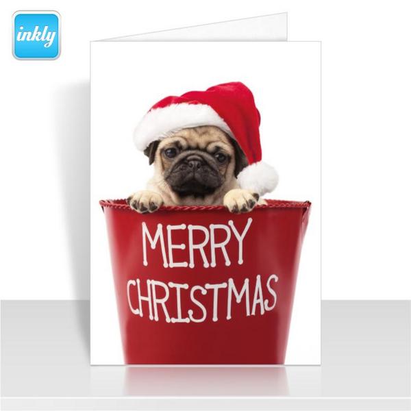 CardCub's tweet image. Pug in a bucket toooo cute xxx This is the last of the Inkly #Christmas Countdown cards - hope you have enjoyed them :)