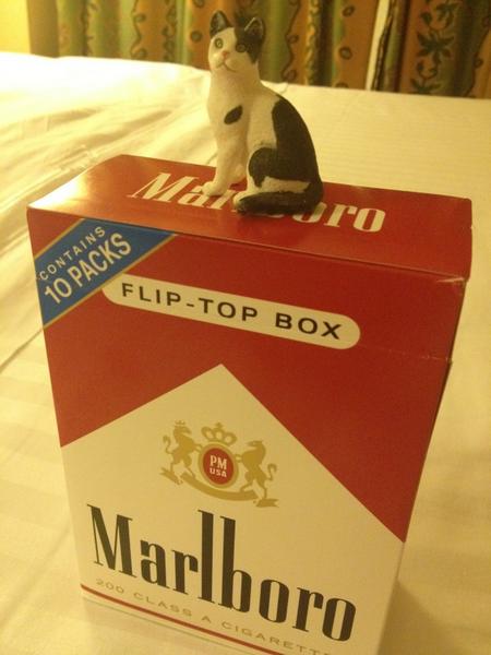 RealBusCat's tweet photo. Not lovin all the water around me but i could get used to this duty free business http://t.co/wx0lXG2M
