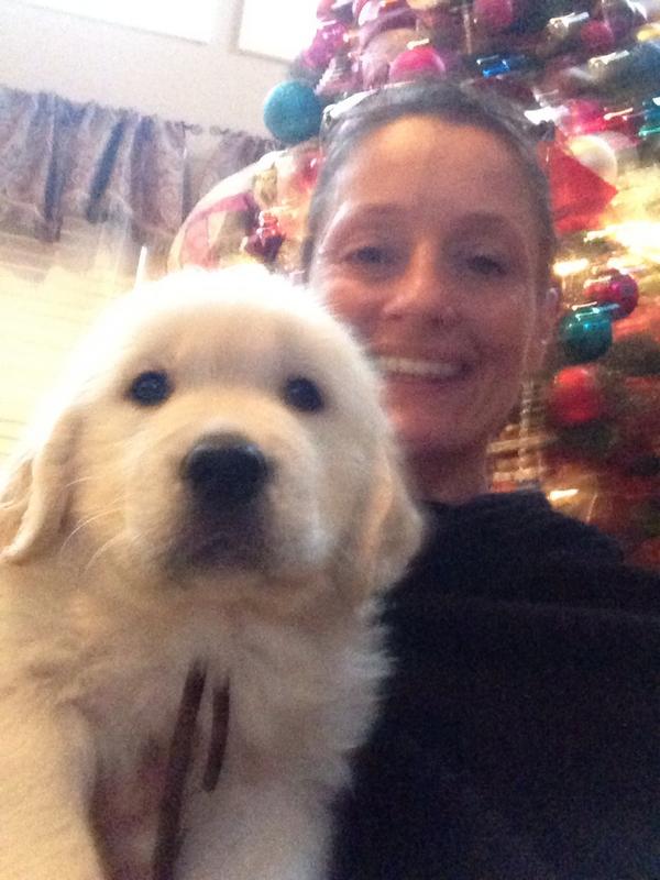 EnglishCreamPup's tweet photo. Mr brown went to his new home. One last pic with me before he left #missingmypuppy http://t.co/PRBegaEG
