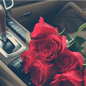 bayan243 tweet picture
