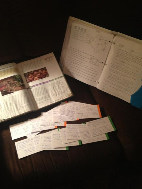 katelynhorning's tweet image. @Kyraamakortoff @MalinChernoff1 yeah guess who&apos;s studying.. #passingthetest #wellatleasttried