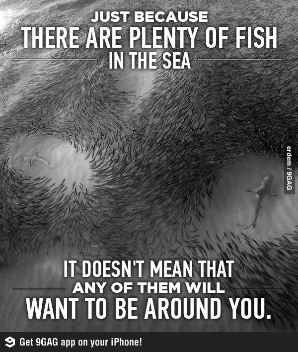 Plenty Of Fish Likes