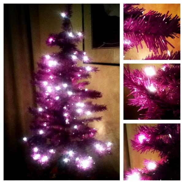 HandHeartz's tweet image. Haha, we got a purple tree #youmadbro #purple #niggajealous