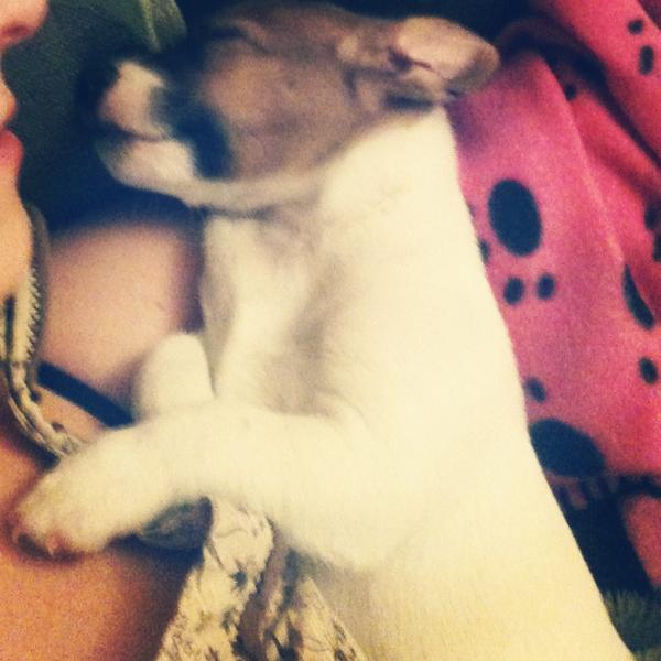 carla_morley's tweet photo. Me and my baby #oscar! http://t.co/6MBK0O3M