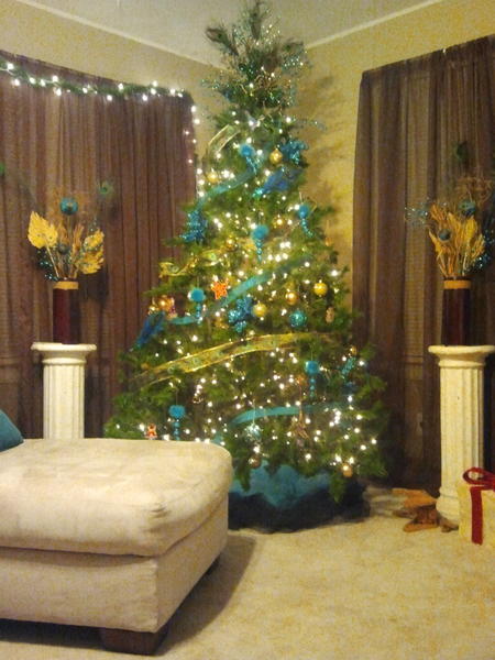 TheAmynRachel's tweet photo. @KDTrey5 Kd here's my tree! #thunderup http://t.co/dReY2MNN