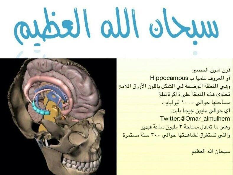 مين جربت اختبار التبويض ارترون