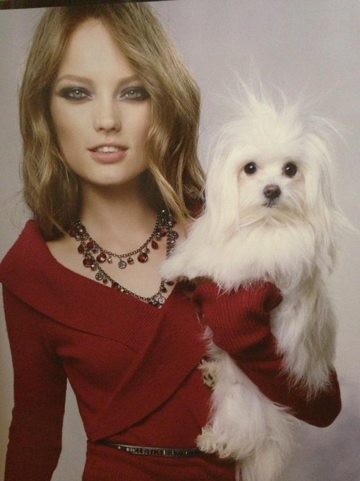 Maddison Model like her mom. #WhiteHouseBlackMarket http://t.co/TsK5sSxT<a href="/tag/whitehouseblackmarket"class="tags">#WhiteHouseBlackMarket</a>