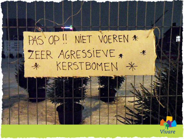 Hoe zorg je er voor dat je kerstboom de kerstdagen doorkomt? Handige onderhoudstips vind je op: facebook.com/vivareselectwo…