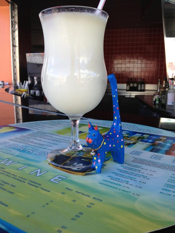RealCruiseCat's tweet photo. HEY @RealBusCat @RealBusPig WHERE ARE YOU GUYS I’M AT THE POOL BAR PIÑA COLADAS ARE ON ME CMON UP WHOOOOOOOOO http://t.co/tvQ0XwB7