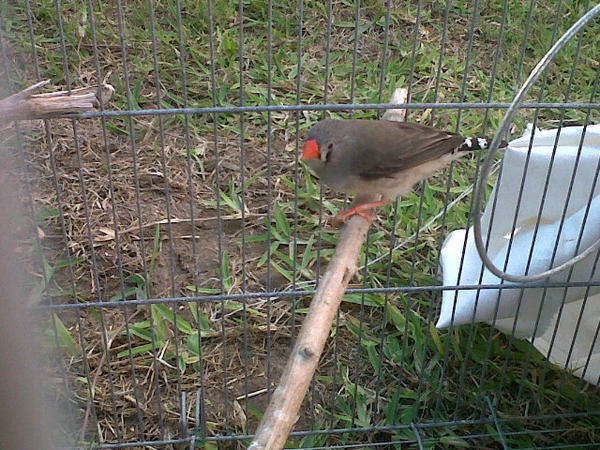 Stefhanie Perez tweet media