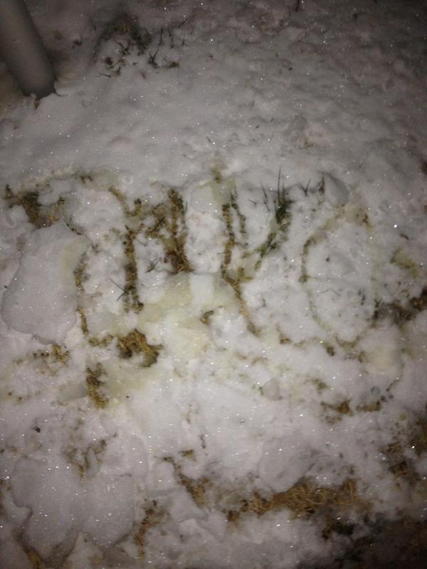 goldenboi09's tweet image. Spelled my name in the snow...in cursive #hadtopee 😁