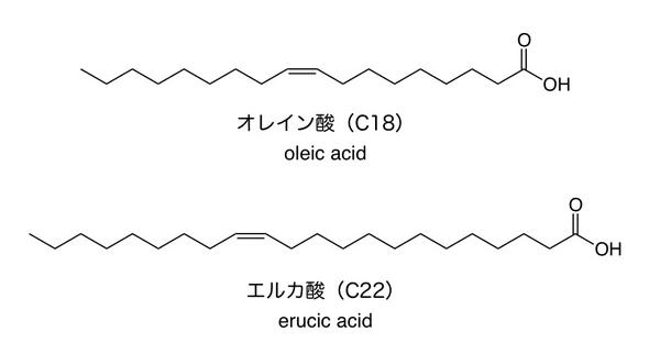 アプリ 有機化学 基本の反応機構 松島芳隆 Fully Vaccinated ロレンツォのオイル に出てきた脂肪酸 オレイン酸 と エルカ酸 注 食用にしている脂肪油は 正確にはそれのトリグリセリドです 学生諸君 間違えないように の化学構造式