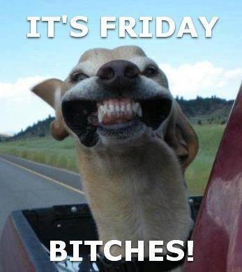 Lol Happy Friday!