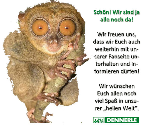 PRovoke Media tweet media