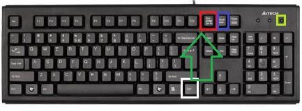 _gagobai's tweet image. @impowerPOLs Press #ScrollLock. then #ctrl + #printScreen