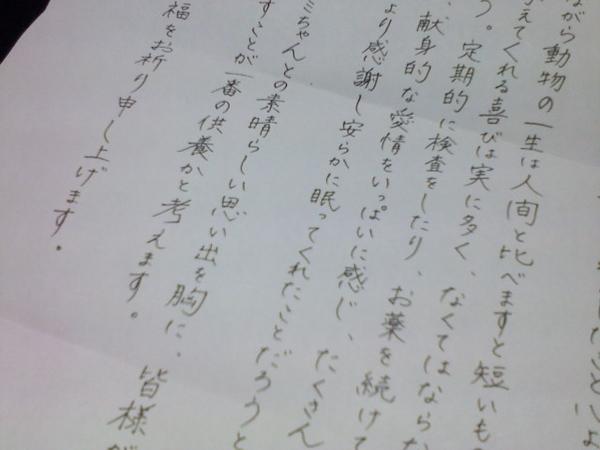 ひろ 動物病院からお手紙がきていました お悔やみのお手紙だったんだけど その手紙の字がペン字のお手本みたいなきれいな字でそれにすごく感動 私もこんな字が書けるようになりたい Http T Co Kcq7enu7 Twitter