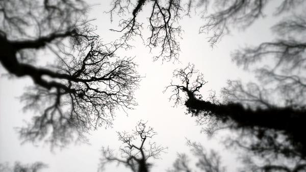 HumbertoTan's tweet photo. #Kijkomhoog http://t.co/ppdelC79