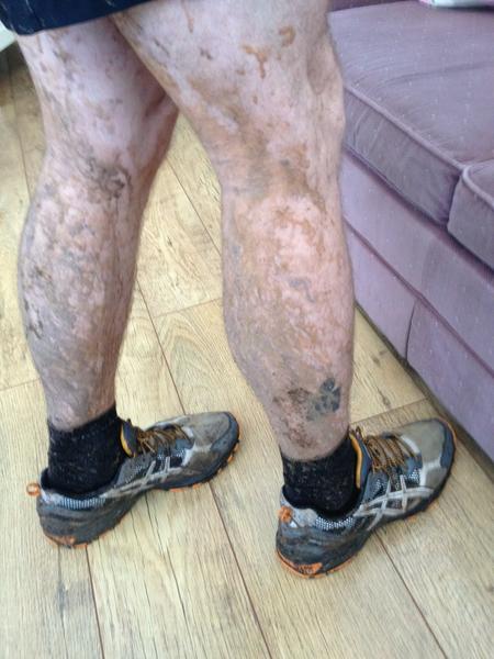 LondonTriCoach's tweet photo. Brilliant run in #eppingforest maybe a bit long but so inspiring #loveabitofmud http://t.co/A8wHokFK