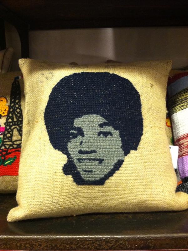 lizzybruno's tweet photo. My idea of an awesome pillow! @abchome http://t.co/wW41K1Vx