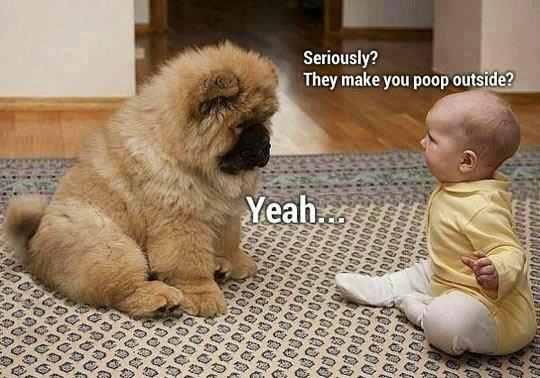 Mr Dom (@dominantlydom) on Twitter photo 