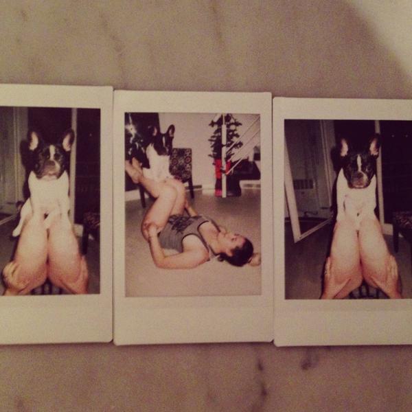 Enlace permanente de imagen incrustada