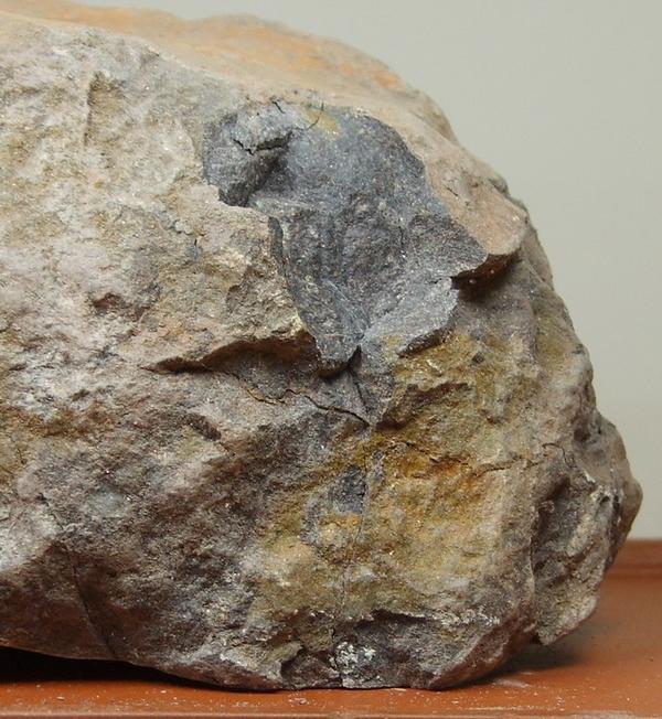 Ateatime tweet media