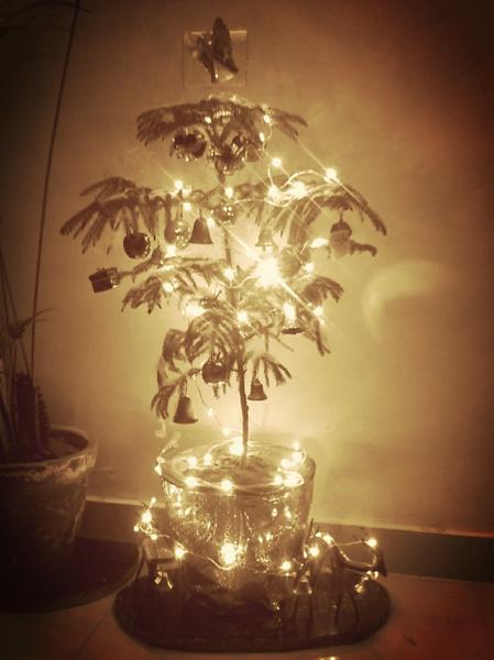 pronys's tweet photo. My first christmas tree in 12 years .. a wonderful time ahead ... may you all have a very merry christmas too ... http://t.co/0KIyU17l