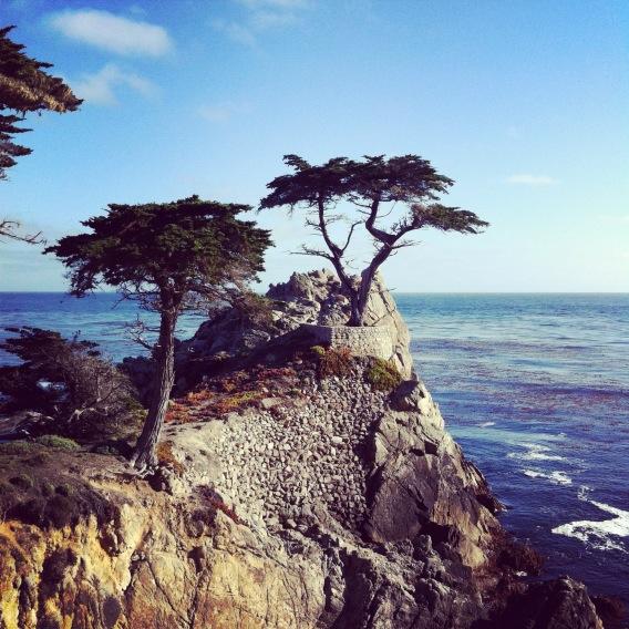 Pacific coast, California, taken with my iPhone.