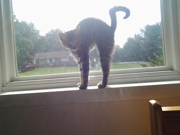 Beccababyyyx3's tweet photo. Found her :) #goodmorningstretch http://t.co/FrnRx6Ar