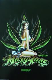 TOP PIRANHA CHAPADO! tweet media