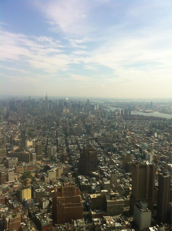 Paul Sciarra tweet media