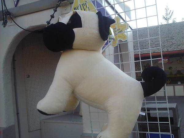 AlisonSparrow's tweet image. If @almightyyogs or I were better at carnival games, we'd try to win this for @ktlovesrocknrol #giantpug