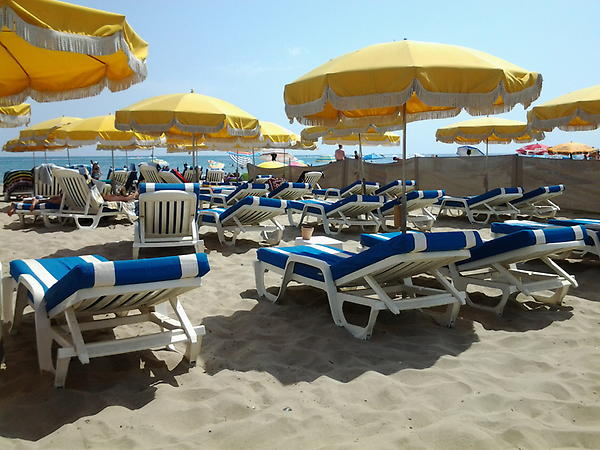 HermanMarieke's tweet photo. De bedjes staan klaar. http://t.co/UNNzo90r