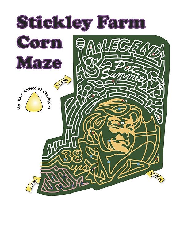 StickleyFarm's tweet image. 2012 Design Featuring a Tribute to @patsummitt