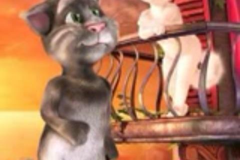 CGarter tweet picture