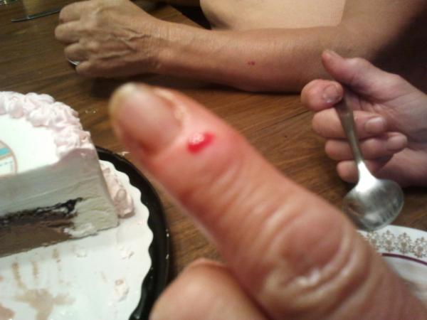 SNikolejsin's tweet photo. @dustinmckay25 Bahahaha  wouldn't be a Nikolejsin gathering unless Gramma ended up bleeding. #accidentpronegranny http://t.co/1E49lS6l