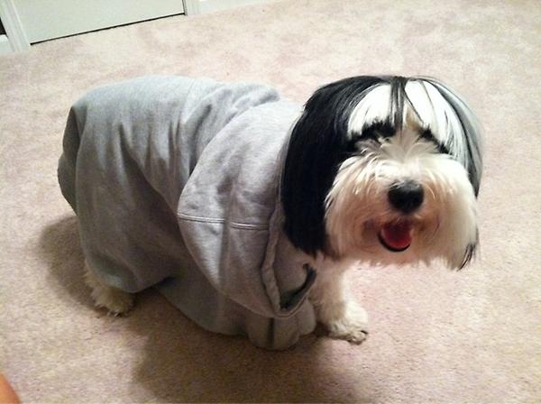 PerkoRach's tweet photo. Stylin' http://t.co/VMyftLbZ