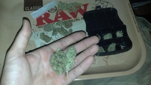 MastahRA's tweet photo. Gold shit on the right and purple wreck on the left. On the @CurrenSy_Spitta raw tray #jetlounge http://t.co/NxzlMZX7