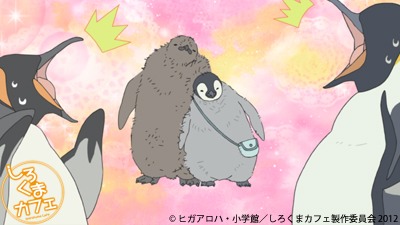 Twitter 上的 Tvアニメ しろくまカフェ 公式 ペンギンさんのおさらい その2です 左から キングペンギン さん 檜山修之さん その息子 竹内順子さん ペンギンさん甥っ子 野中藍さん そしてペンギンさん 神谷浩史さん で ございますっ Shirokumacafe Http